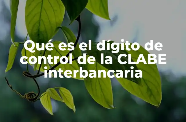 Qué es el Dígito de Control de la Clabe Interbancaria