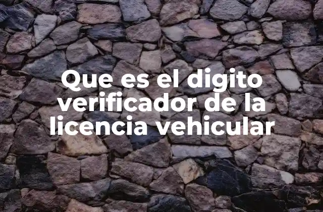 Que es el Digito Verificador de la Licencia Vehicular