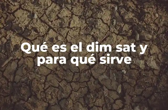 Aplicaciones clínicas del DIM SAT