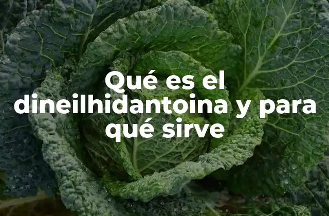 Qué es el Dineilhidantoina y para Qué Sirve