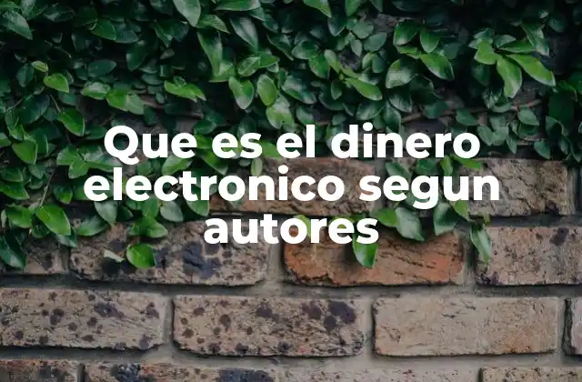 Que es el Dinero Electronico Segun Autores