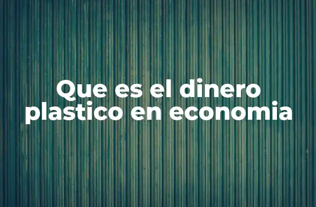 Que es el Dinero Plastico en Economia