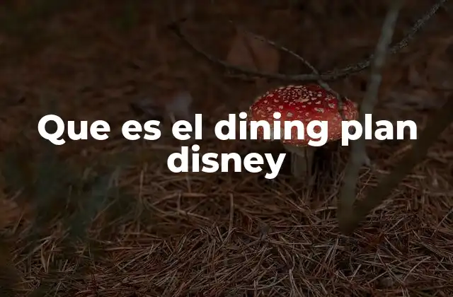 Que es el Dining Plan Disney