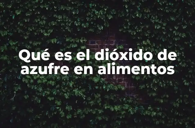 El papel del dióxido de azufre en la preservación de alimentos