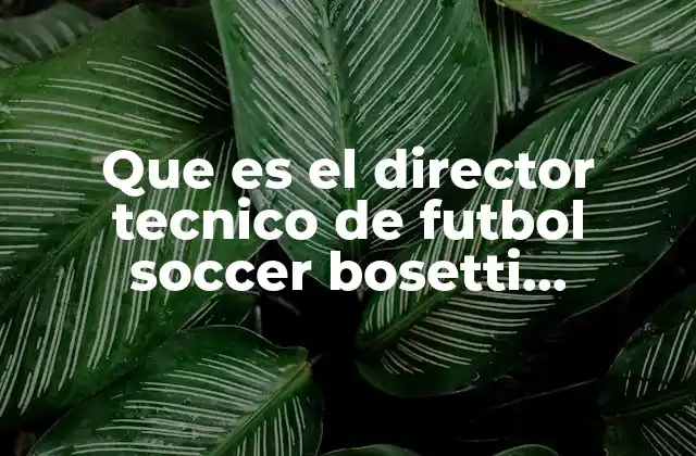 Que es el Director Tecnico de Futbol Soccer Bosetti Mexicano