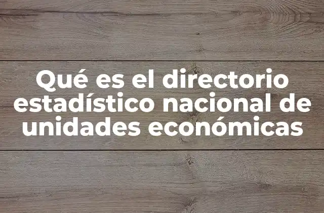 Qué es el Directorio Estadístico Nacional de Unidades Económicas
