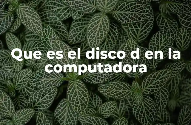 Que es el Disco D en la Computadora