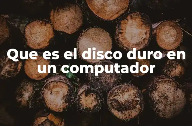 Que es el Disco Duro en un Computador