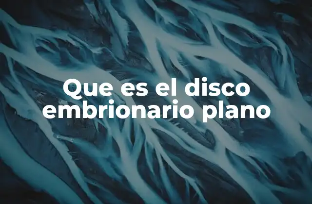 Que es el Disco Embrionario Plano