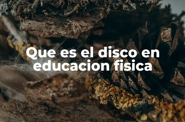 Que es el Disco en Educacion Fisica
