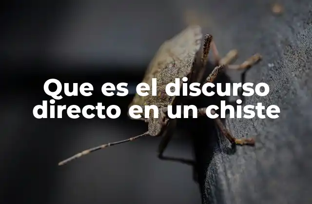 Que es el Discurso Directo en un Chiste