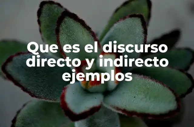 Que es el Discurso Directo y Indirecto Ejemplos