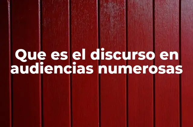 Que es el Discurso en Audiencias Numerosas