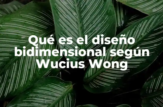 Qué es el Diseño Bidimensional según Wucius Wong