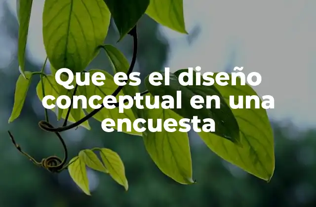Que es el Diseño Conceptual en una Encuesta