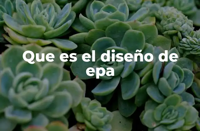 Que es el Diseño de Epa