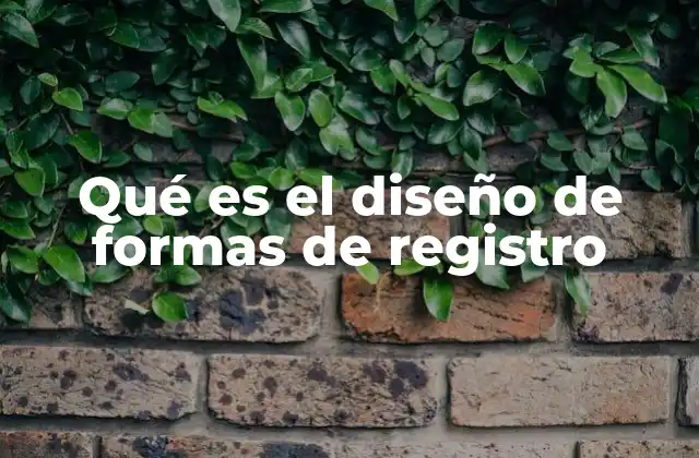 Qué es el Diseño de Formas de Registro