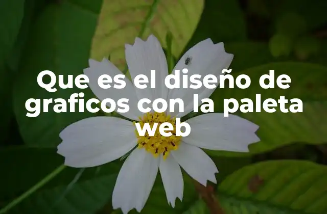 Que es el Diseño de Graficos con la Paleta Web