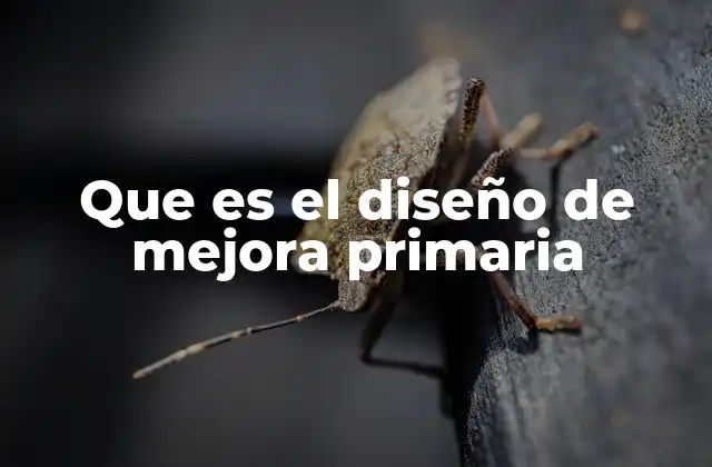 Que es el Diseño de Mejora Primaria