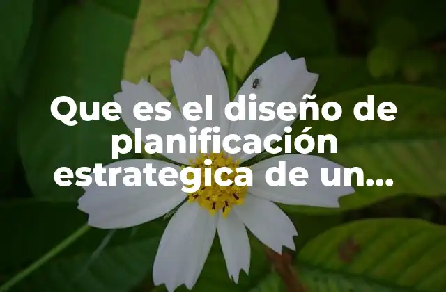Que es el Diseño de Planificación Estrategica de un Proyecto