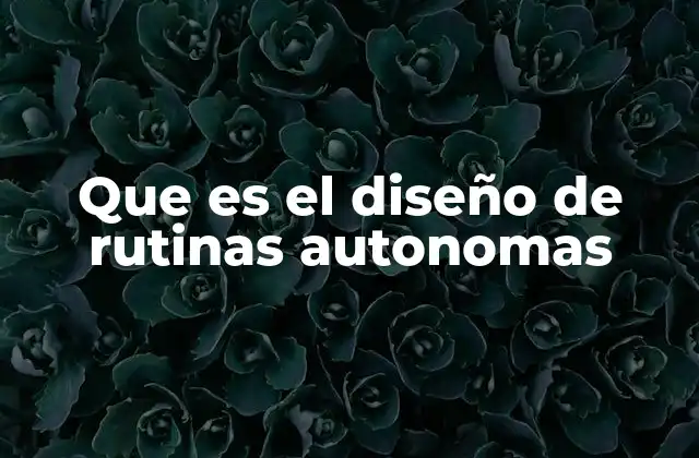 Que es el Diseño de Rutinas Autonomas