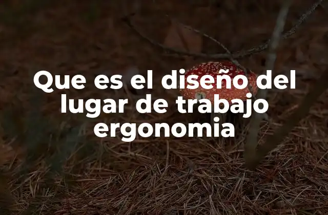 Que es el Diseño Del Lugar de Trabajo Ergonomia