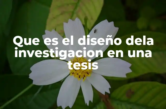 Cómo el diseño estructura la investigación académica