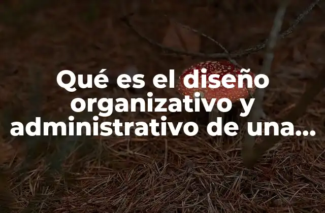 Qué es el Diseño Organizativo y Administrativo de una Empresa