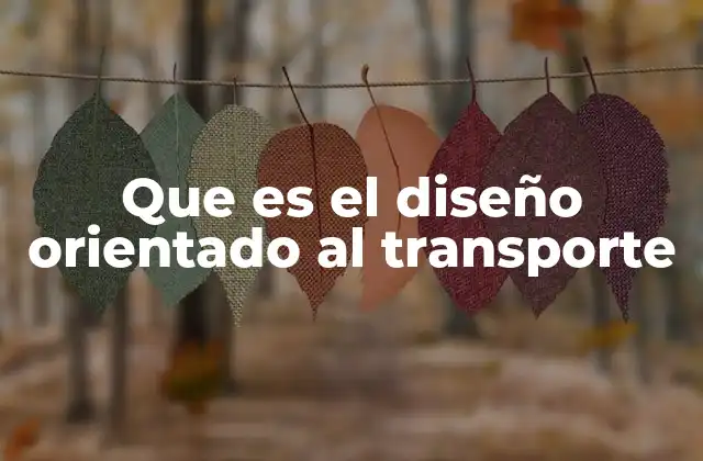 Que es el Diseño Orientado Al Transporte