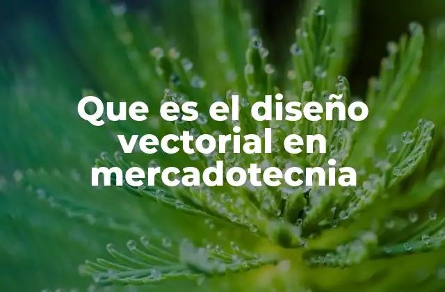 Que es el Diseño Vectorial en Mercadotecnia
