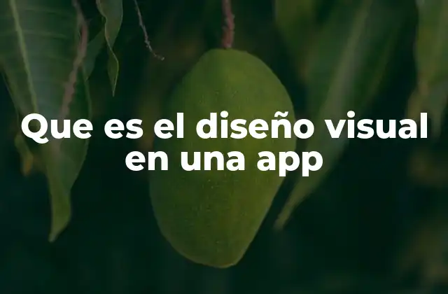 Que es el Diseño Visual en una App