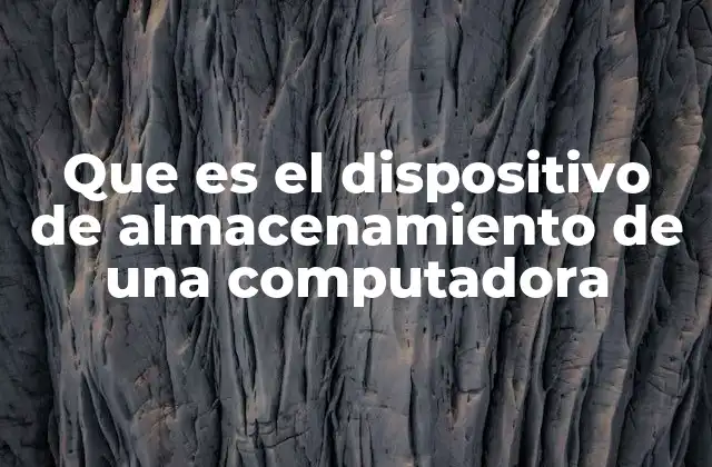 Que es el Dispositivo de Almacenamiento de una Computadora