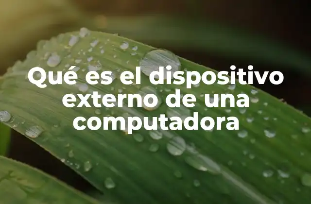 Qué es el Dispositivo Externo de una Computadora