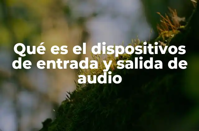 Qué es el Dispositivos de Entrada y Salida de Audio