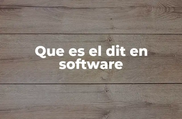 Que es el Dit en Software