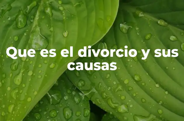 Que es el Divorcio y Sus Causas 2 La ruptura de los lazos matrimoniales