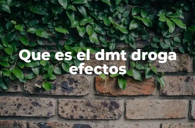 Que es el Dmt Droga Efectos