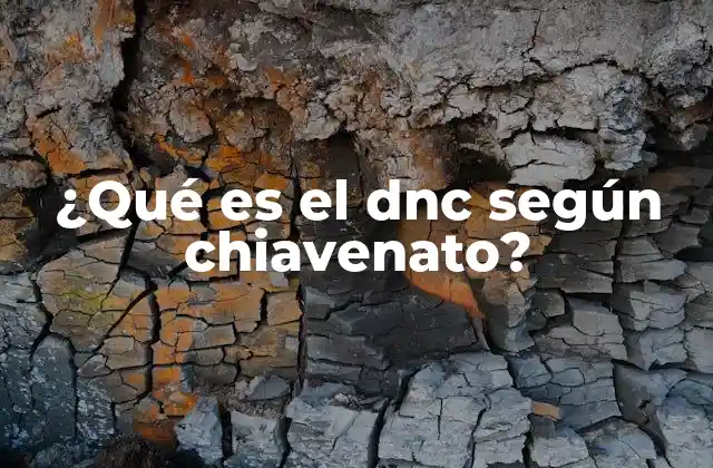 El DNC como herramienta para la comprensión del comportamiento humano