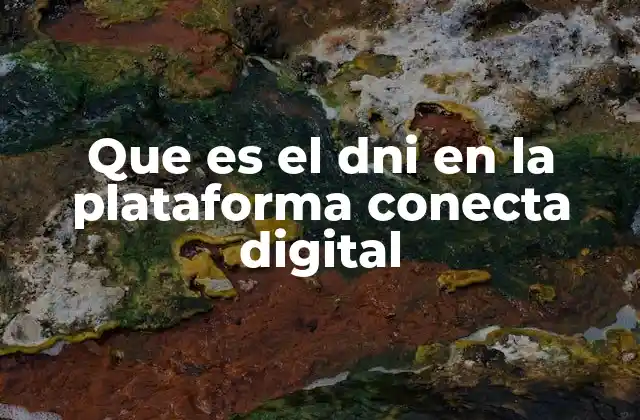 Que es el Dni en la Plataforma Conecta Digital 2 La importancia del DNI en el ecosistema digital