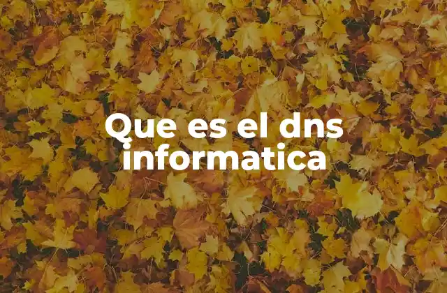 Que es el Dns Informatica