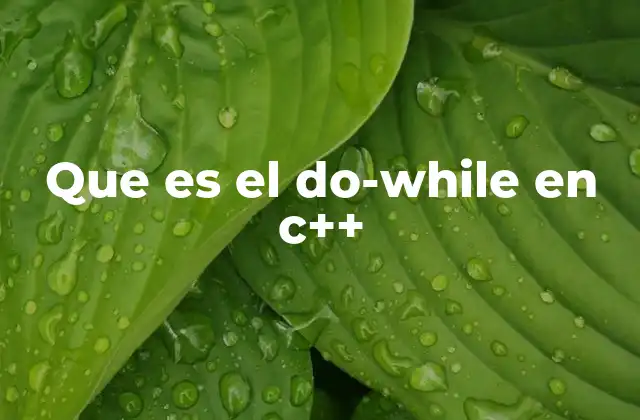Que es el Do-while en C++