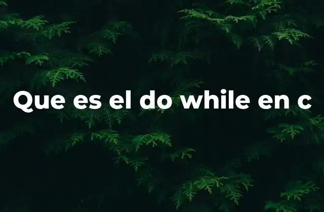 Cómo funciona el do while en C