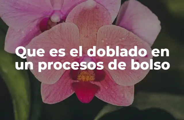 Que es el Doblado en un Procesos de Bolso
