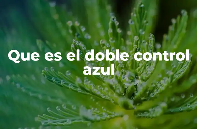 Que es el Doble Control Azul