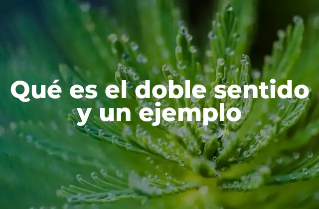 Qué es el Doble Sentido y un Ejemplo