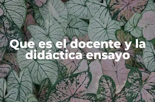 Que es el Docente y la Didáctica Ensayo