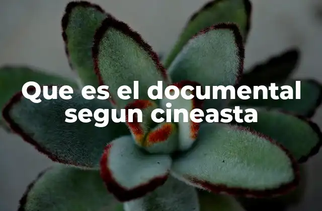 Que es el Documental Segun Cineasta