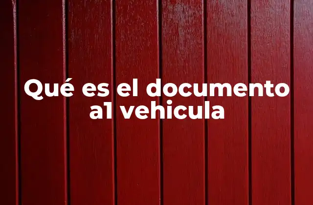 Qué es el Documento A1 Vehicula 2 El papel del certificado internacional de conducir en viajes internacionales