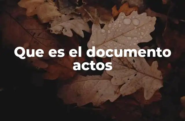 Que es el Documento Actos