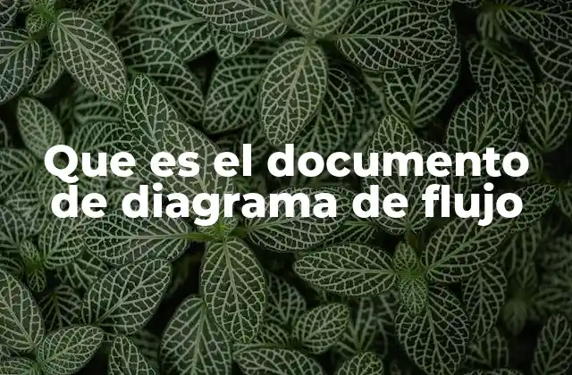 Que es el Documento de Diagrama de Flujo